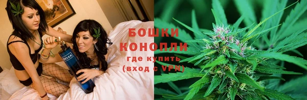 винт Няндома